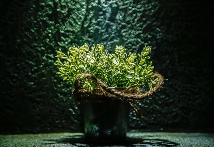企业应急救援预案范文