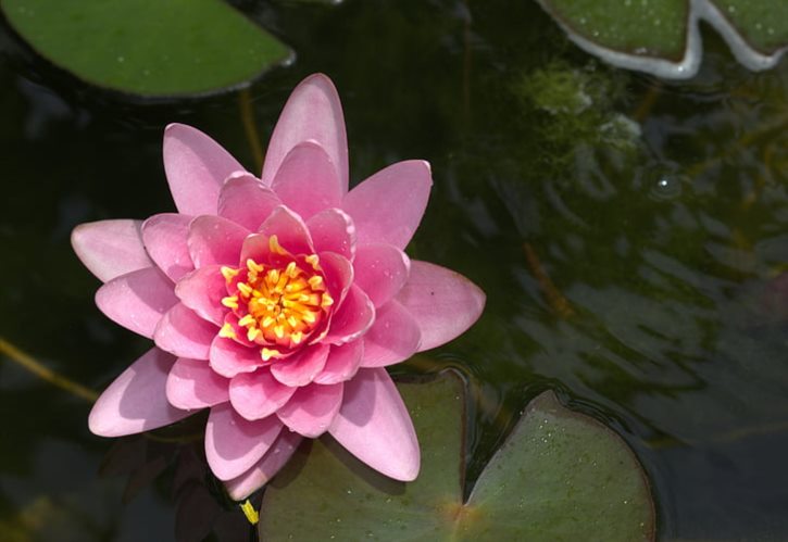 幽闭恐惧症是什么症状