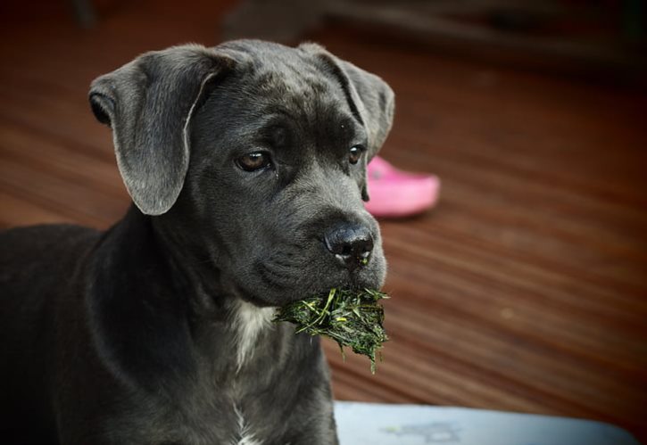 90后十大经典网络游戏