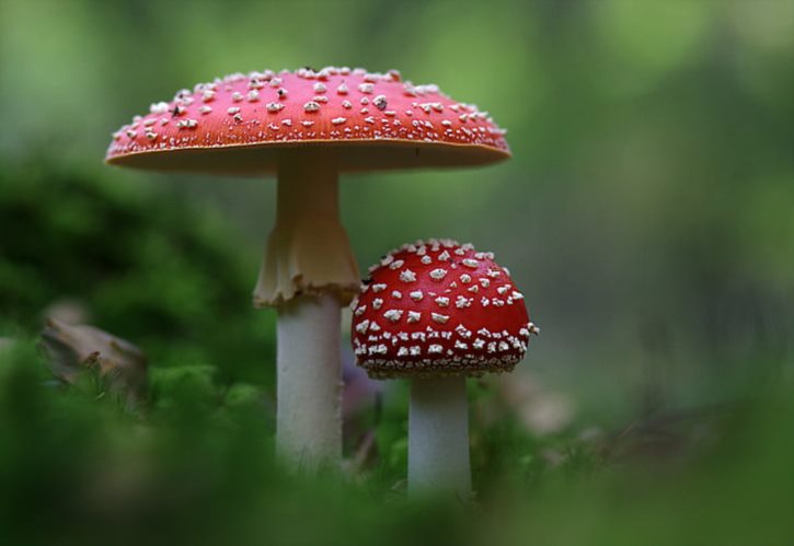 周楷恒女朋友泳装 周楷恒女朋友极品身材