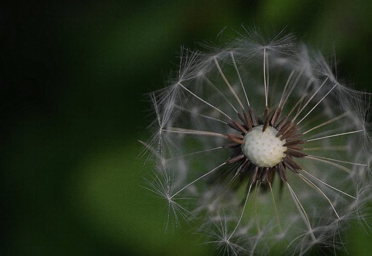 一年存一万算穷人吗 一年能挣100万的小生意