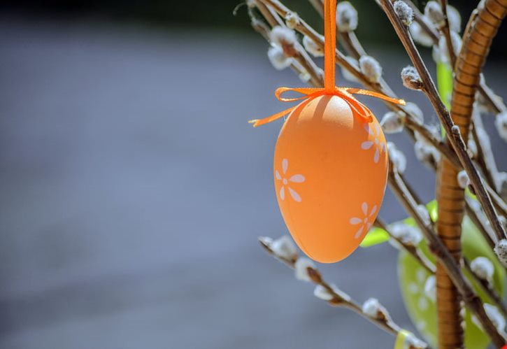 白雪和乔四有孩子吗 乔四小说