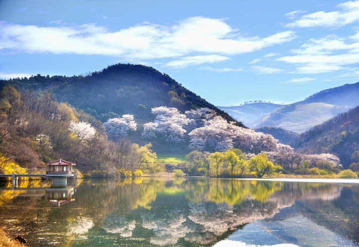 韩国口碑最好的总统 韩国总统好感度排名