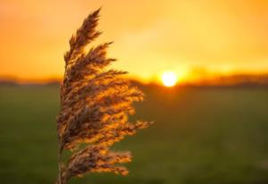 宁夏必买的15种香烟 宁夏特产烟一览表