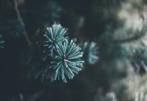俄罗斯苏24被土耳其击落后续