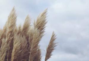 宾馆消防应急预案范本