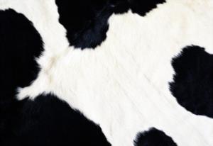 黄绮珊难忘今宵回放 王旭最火的十首歌