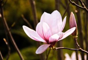 谁敢相信这是71一岁的赵雅芝